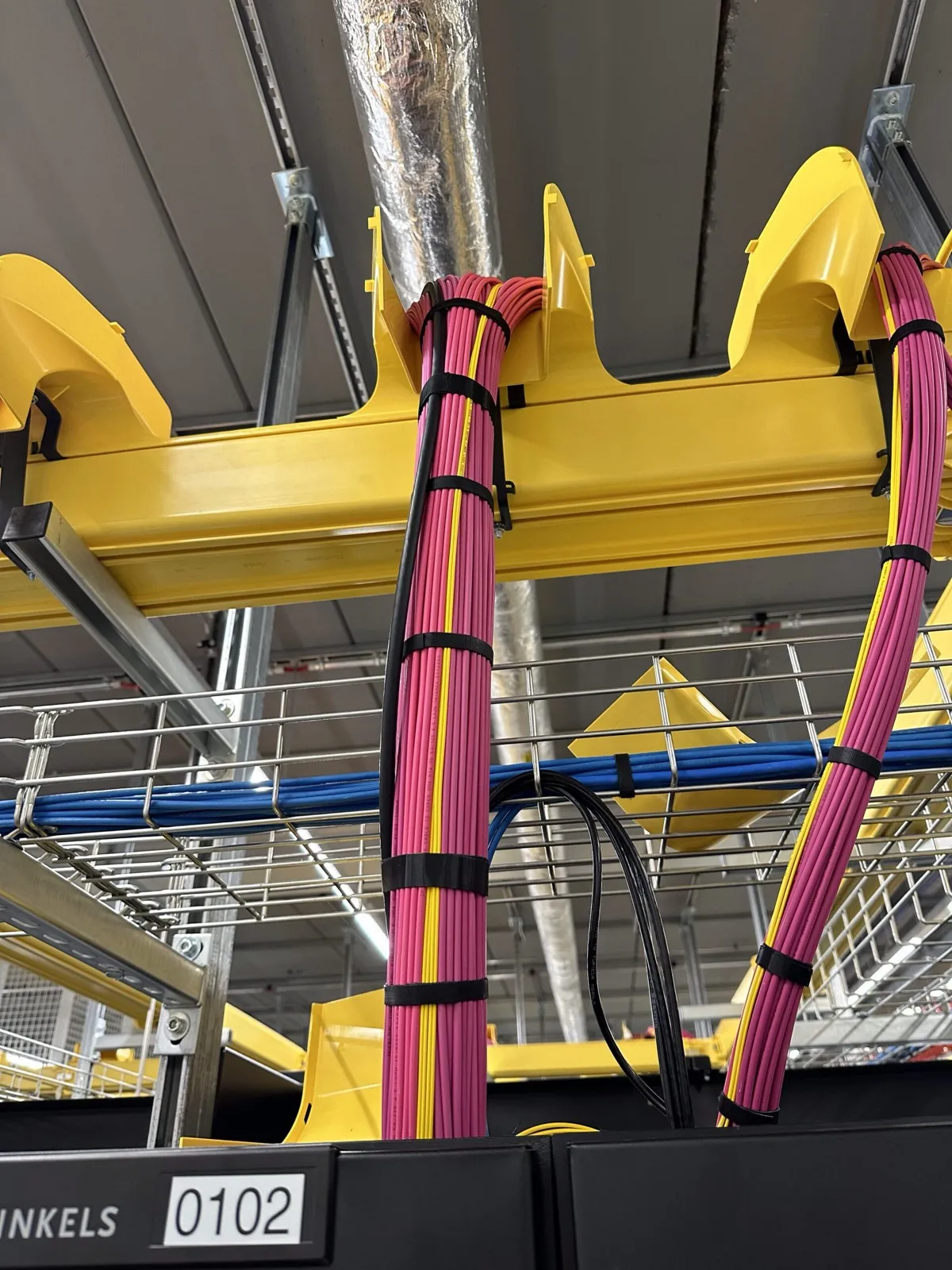 Overhead cable trays carrying bundled, labeled datacenter cabling
